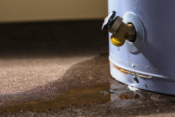 Best Flood restoration services  in Ithaca, NY