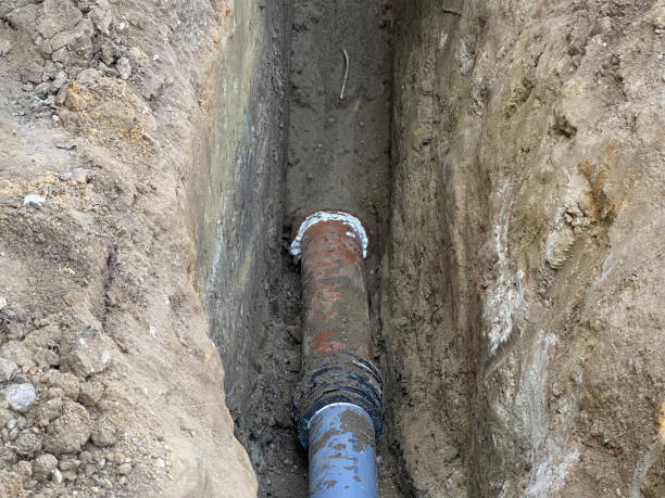 Best Flood damage cleanup  in Ithaca, NY