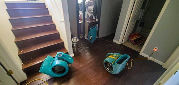 Best Water damage contractors near me  in Ithaca, NY