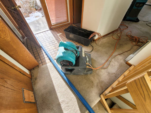 Best Residential water damage restoration  in Ithaca, NY