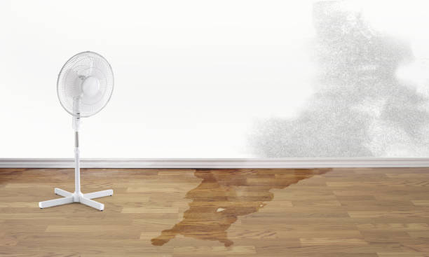 Best Sewage cleanup and water damage restoration  in Ithaca, NY